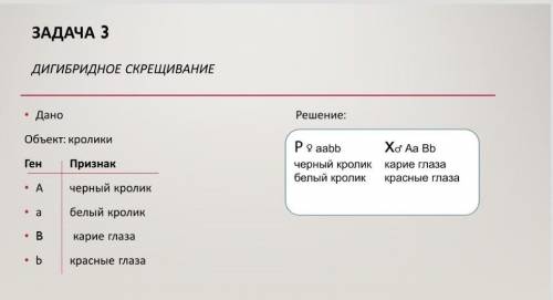 ответы с процентами заранее