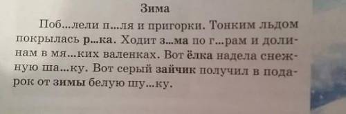 Предупредительный диктант Определите род число падеж выделение имен существительных​