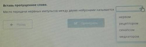 Вставь пропущенное слово.Место передачи нервных импульсов между двумя нейронами называется​