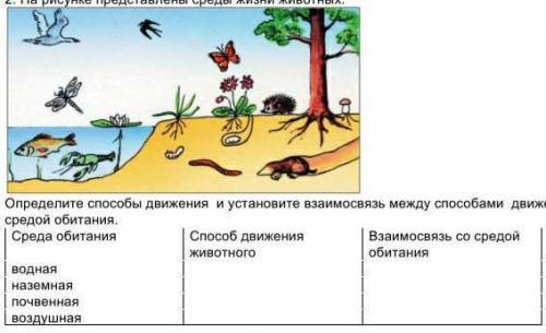 На рисунке представлены среды жизни животных определите движения и установите взаимосвязь​