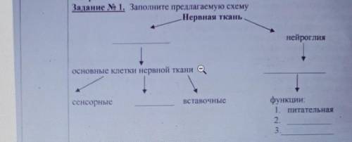 Зада Задание No 1. Заполните предлагаемую схемуНервная тканьнейроглияосновные клетки нервной тканисе