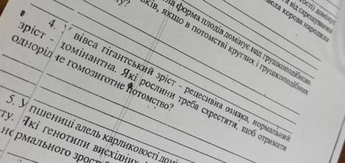 ￼￼￼￼￼￼до ть будь ласка. Контрольна робота.