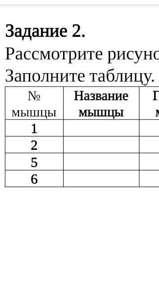 Задание 2.Рассмотрите рисунокЗаполните таблицу.НазваниеФункция​