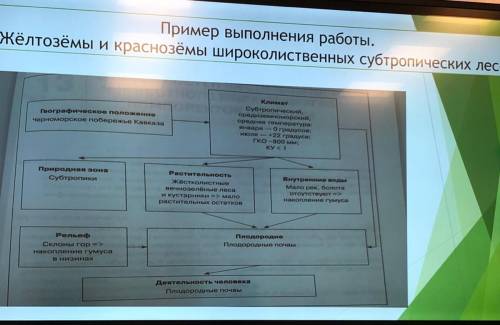 Желтозёмы и красноземы широколиственных субтропических лесов. Надо сделать схему такую же как на кар