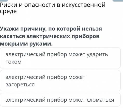 Укажи причину, по которой нельзя касаться электрических приборов мокрыми руками​