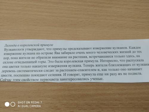 Выписать словосочетания существительное плюс прилагательное выполнить разбор одного предложения