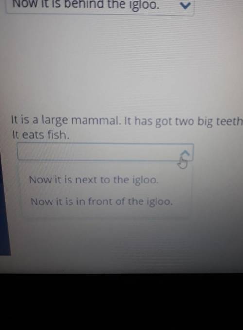 It is a large mammal. It has got two big teeth. It eats fish.BILماNow it is next to the igloo.Now it