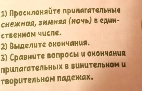 Прилагательных в винительном и 1) Просклоняйте прилагательныеснежная, зимняя (ночь) в един-ственном