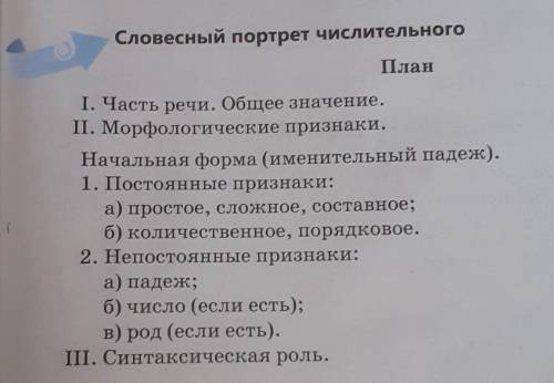 ПО ЭТОЙ КАРТИНКИ НАДО СОСТАВИТЬ СЛАВЕСНЫЙ ПОРТРЕТ Наидите числительные и составьте с этим чеслительн