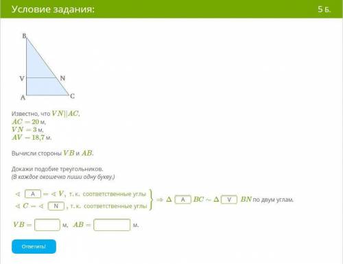 Известно, что VN||AC, AC= 20 м, VN= 3 м, AV= 18,7 м. Вычисли стороны VB и AB.