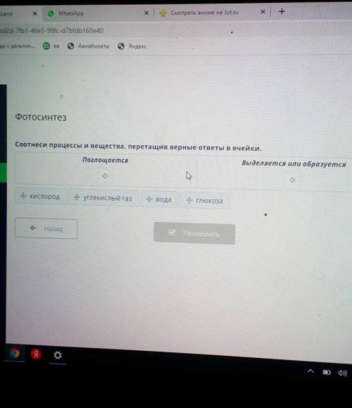 + ФотосинтезСоотнеси процессы и вещества, перетащив верные ответы вячейки,Поглощаетсявыделяется или