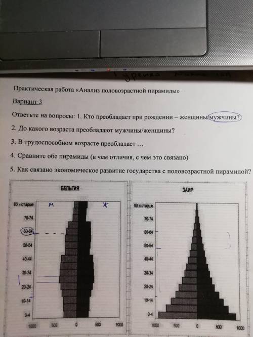 География. Анализ половозрастной пирамиды. ответить на 5 вопросов (см. фото)