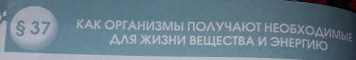 Как организмы получают необходимые для жизни вещества энергии конспект