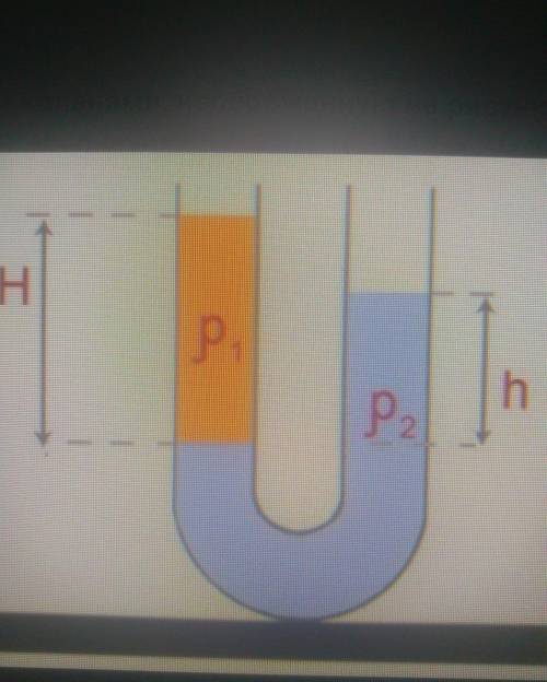 В широкую U-образную трубку с вертикальными прямыми коленами, изображенную на рисунке, налита неизве
