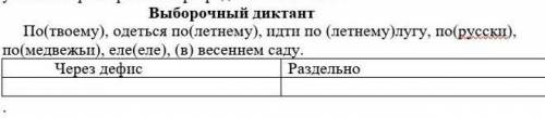 Выборочный диктант По(твоему), одеться по(летнему), идти по (летнему)лугу, по(русски), по(медвежьи),