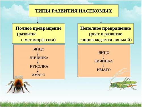 напишите сочинение на английском языке ! Тема: чем я занимаюсь в свободное время ! 60-70 слов​