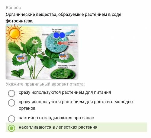 Выберите правильный вариант ответа​