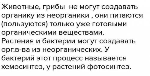 Растения сами себя кормят, образуя органические вещества из неорганических. Человек и животные питаю