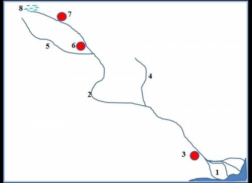 Под какой цифрой находится:1) дельта2) меанд3) правый приток4) левый приток​