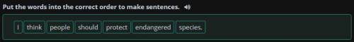 Put the words into the correct order to make sentences. I / think / people / should / protect / enda