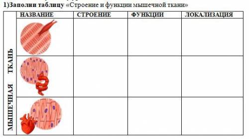 Заполни таблицу «Строение и функции мышечной ткани»