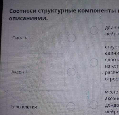 Соотнеси структурные компоненты нейрона с ихОписаниями.​