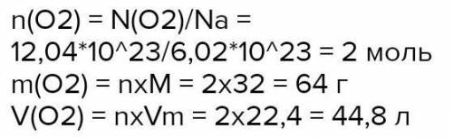 рассчитайте количество вещества, массу и объём порций NO2 содержащий 12,04 на 10(23 степень) молекул
