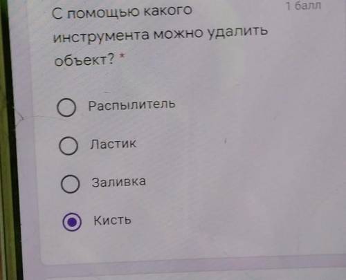 С какого Инструмента можно удалитьобъект? РаспылительЛастикЗаливкаКисть.​