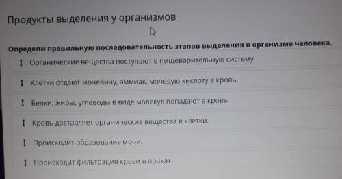 Продукты выделения у организмов Определи правильную последовательность этапов выделения в организме