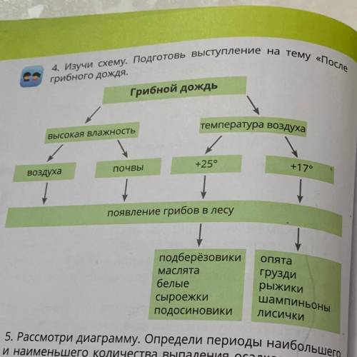 4. Изучи схему. Подготовь выступление на тему «После грибного дождя. Грибной дождь температура возду