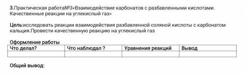 Практическая работа№3«Взаимодействие карбонатов с разбавленными кислотами. Качественные реакции на у