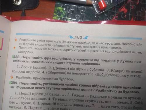 Будь ласка до ть з завдання 388 . Буду дуже вдячна за відповідь.