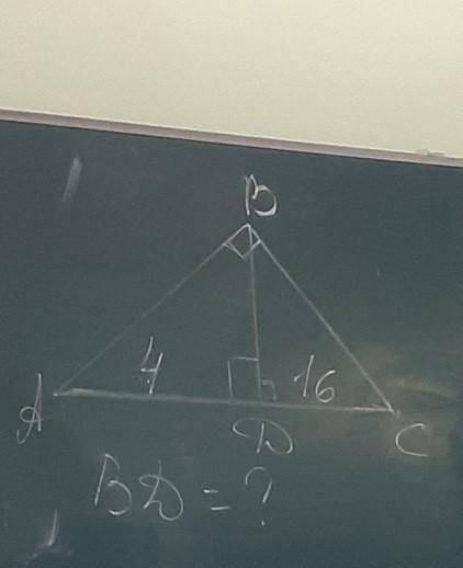 Дано: ABC - треугольник CD - высота AD - 4 см DC - 16 см Найти: BD - ?