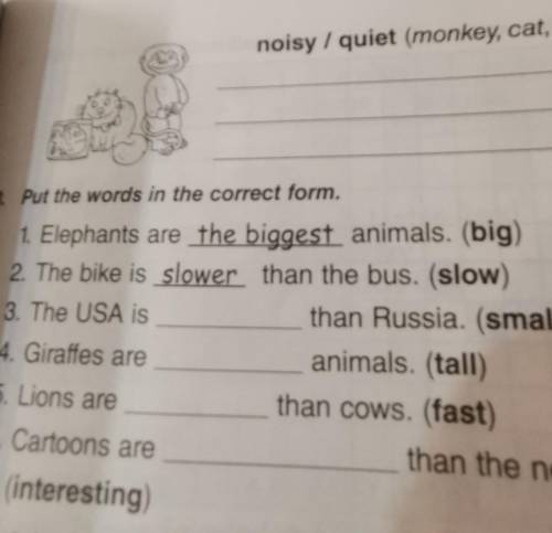 3. Put the words in the correct form. 1. Elephants are the biggest animals. (big)2. The bike is slow