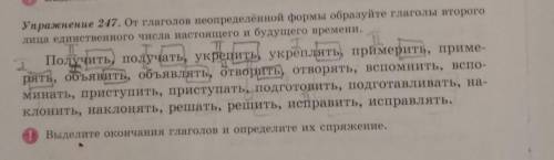 Упражнение 247. От глаголов неопределённой формы образуйте глаголы второго лица единственного числа