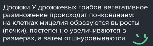 Какие грибы размножаются почкованием 1. Головня 2. Дрожжи 3.Мухоморы 4. Пеницилл