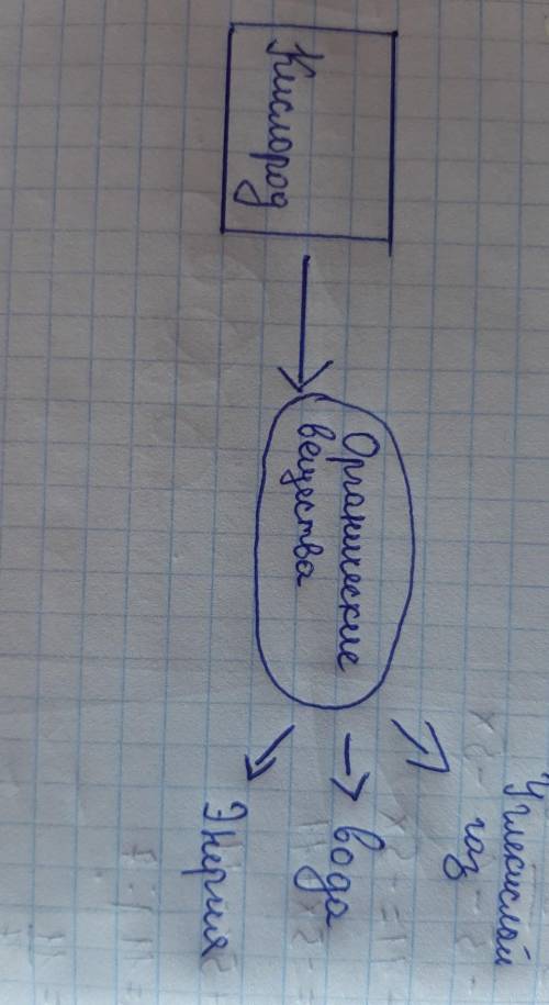 Задание 4. Составь схему процесса дыхания.​