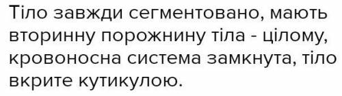 Особливості покриву кільчастих червів​