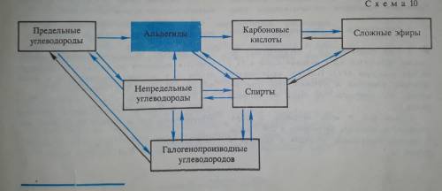 Можете написать генетическую связь данной схемы?