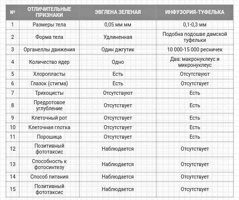 Написать характеристики эвглены зеленой и инфузории-туфельки.