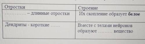 1. - длинные отростки. их скопление образует белое2. дендриты - короткие вместе с телами нейронов о