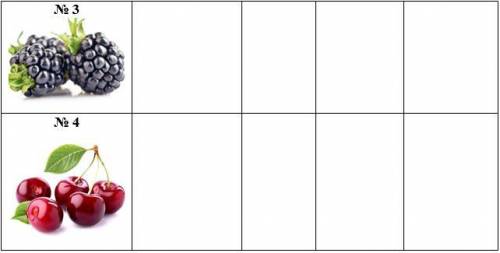 Заповніть таблицю «Різноманітність плодів», за наведеним прикладом (рисунки малювати НЕ потрібно) (
