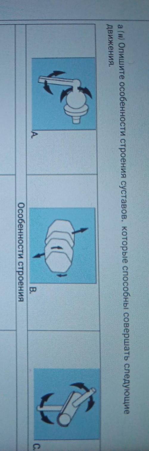А (1) Опишите особенности строения суставов, которые совершать следующие Движения.Особенности строен