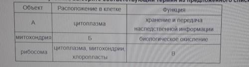 Проанализируйте таблицу. Заполните пустые ячейки таблицы, используя понятия и термины приведенные в