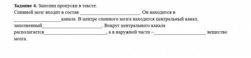 Заполни пропуски в тексте 1.спиной мозг входит в состав.2.Он-​