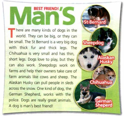 Read the text and mark sentences T (True) or F (False). 1. There are not many kinds of dogs - F 2. T