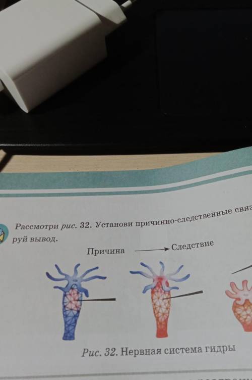 Рассмотри рис. 32. Установи причинно-следственные связи. Сформули-Следствие​