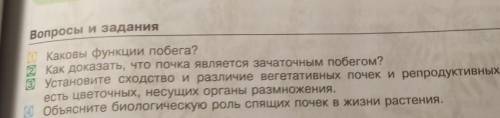 1каковы функции побега? 2как доказать, что почка является зачаточным побегом? 3установите сходства и