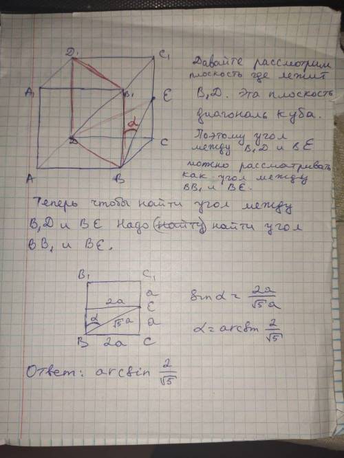 Точка Е -середина ребра СС₁ куба ABCDA₁B₁C₁D₁. Найдите угол между прямыми BE и B₁D.