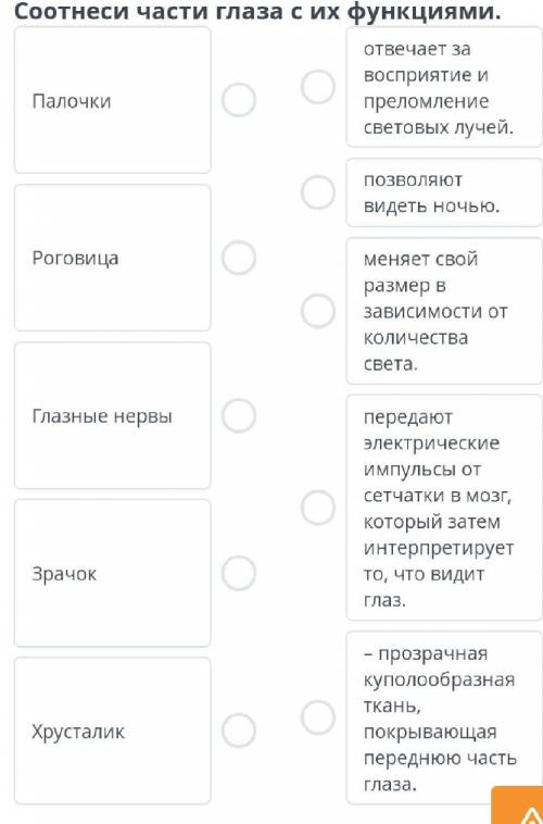 Строение органа зрения. Значение зрения. Нарушение зрения. Гигиена органа зрения. Лабораторная работ